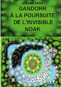 Gandorr à la Poursuite de l'Invisible Noak - Jérome SMIEL - E-Book