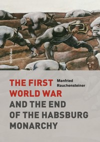 The First World War - Manfried Rauchensteiner - E-Book