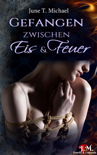 Gefangen zwischen Eis und Feuer - June T. Michael - E-Book