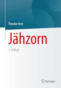 Jähzorn - Theodor Itten - E-Book