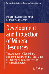 Development and Protection of Mineral Resources -  - E-Book