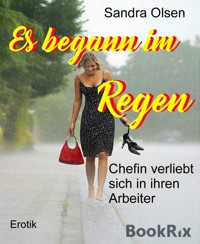 Es begann im Regen - Sandra Olsen - E-Book