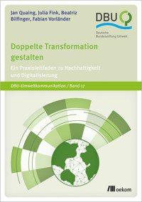Doppelte Transformation gestalten - Jan Quaing - kostenlos E-Book