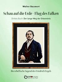 Schau auf die Erde – Der Flug des Falken. Drittes Buch: Der lange Weg der Erkenntnis - Walter Baumert - E-Book