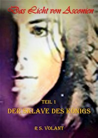Der Sklave des Königs - R. S. Volant - E-Book