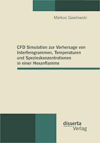 CFD Simulation zur Vorhersage von Interferogrammen, Temperaturen und Spezieskonzentrationen in einer Hexanflamme - Markus Gawlowski - E-Book