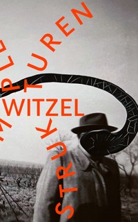 Komplexe Strukturen - Frank Witzel - E-Book
