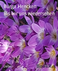 Bis wir uns wiedersehen - Burga Hencken - E-Book