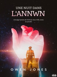 Une Nuit Dans L’Annwn - Owen Jones - E-Book