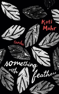 something with feathers - Kati Mohr - E-Book