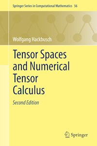 Tensor Spaces and Numerical Tensor Calculus - Wolfgang Hackbusch - E-Book