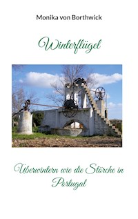 Winterflügel - Monika von Borthwick - E-Book