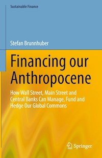 Financing our Anthropocene - Stefan Brunnhuber - E-Book