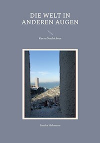 Die Welt in anderen Augen - Sandra Hohmann - E-Book