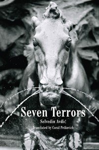 Seven Terrors - Selvedin Avdić - E-Book