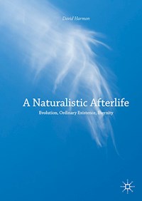 A Naturalistic Afterlife - David Harmon - E-Book