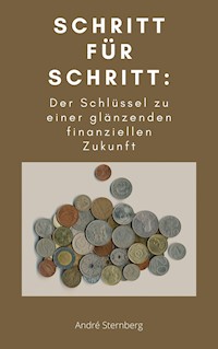 Schritt für Schritt: Der Schlüssel zu einer glänzenden finanziellen Zukunft - Andre Sternberg - E-Book
