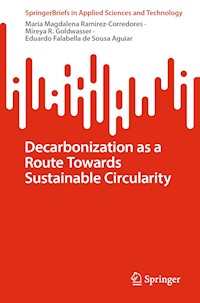 Decarbonization as a Route Towards Sustainable Circularity - Maria Magdalena Ramirez-Corredores - E-Book