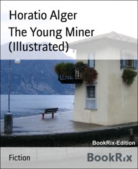 The Young Miner (Illustrated) - Horatio Alger - E-Book