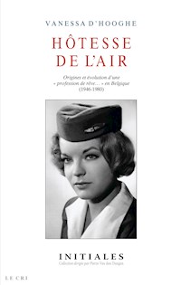 Hôtesse de l'air - Vanessa D'Hooghe - E-Book