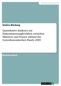 Quantitative Analysen zur Einkommensungleichheit zwischen Männern und Frauen anhand des Sozioökonomischen Panels 2009 - Nadine Bliedung - E-Book