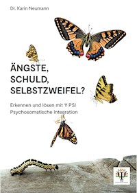 Ängste, Schuld, Selbstzweifel? - Karin Neumann - E-Book