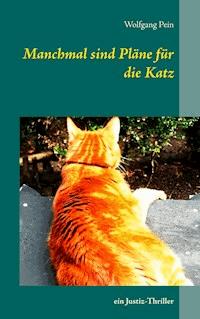 Manchmal sind Pläne für die Katz - Wolfgang Pein - E-Book