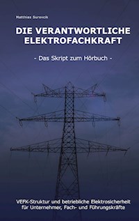 Die Verantwortliche Elektrofachkraft - Matthias Surovcik - E-Book