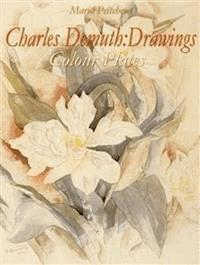 Charles Demuth: Drawings Colour Plates - Maria Peitcheva - E-Book