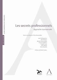 Les secrets professionnels - Anthemis - E-Book