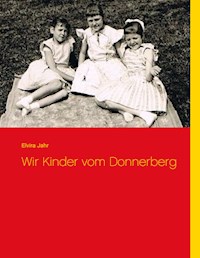 Wir Kinder vom Donnerberg - Elvira Jahr - E-Book