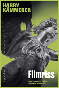 Filmriss - Harry Kämmerer - E-Book