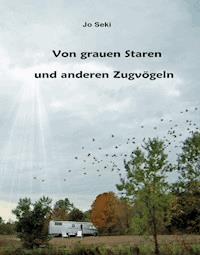Von grauen Staren und anderen Zugvögeln - Jo Seki - E-Book