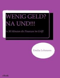 WENIG GELD? NA UND!!! - Emilia Lehmann - E-Book