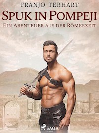 Spuk in Pompeji - Franjo Terhart - E-Book