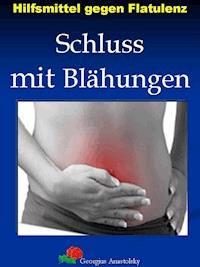 Hilfsmittel gegen Flatulenz - Georgius Anastolsky - E-Book