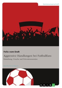 Aggressive Handlungen bei Fußballfans - Felix vom Endt - E-Book
