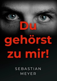 Du gehörst zu mir! - Sebastian Meyer - E-Book