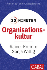 30 Minuten Organisationskultur - Rainer Krumm - E-Book