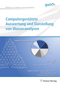 Computergestützte Auswertung und Darstellung von Wasseranalysen - Wilhelm G. Coldewey - E-Book
