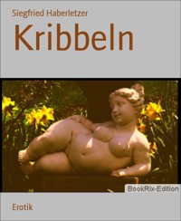 Kribbeln - Siegfried Haberletzer - E-Book