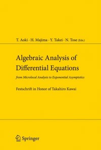 Algebraic Analysis of Differential Equations -  - E-Book