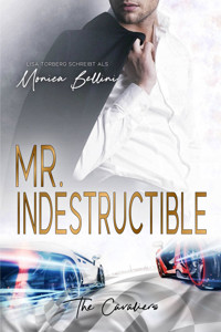 Mr. Indestructible - Lisa Torberg - E-Book