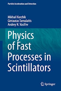 Physics of Fast Processes in Scintillators - Mikhail Korzhik - E-Book