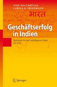 Geschäftserfolg in Indien - Dirk Holtbrügge - E-Book