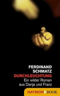 Durchleuchtung - Ferdinand Schmatz - E-Book