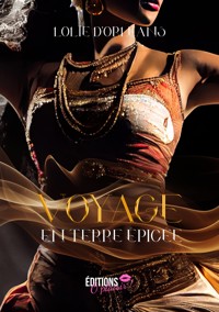 Voyage en terre épicée - Lolie D'Orleans - E-Book