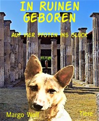 In Ruinen geboren - Margo Wolf - E-Book