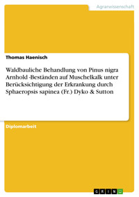 Waldbauliche Behandlung von Pinus nigra Arnhold -Beständen auf Muschelkalk unter Berücksichtigung der Erkrankung durch Sphaeropsis sapinea (Fr.) Dyko & Sutton - Thomas Haenisch - E-Book