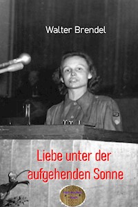 Liebe unter der aufgehenden Sonne - Walter Brendel - E-Book